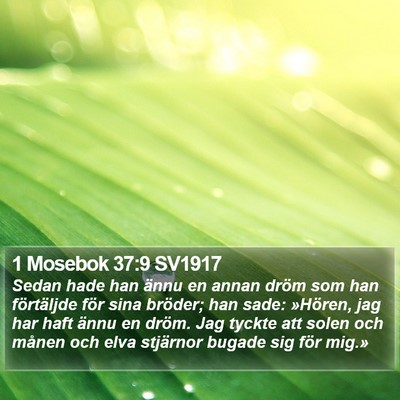 1 Mosebok 37:9 SV1917 Bible Verse Image