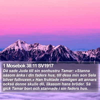 1 Mosebok 38:11 SV1917 Bible Verse Image