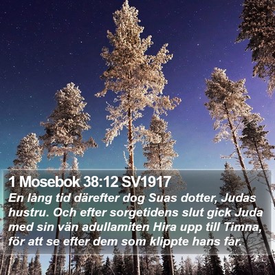 1 Mosebok 38:12 SV1917 Bible Verse Image