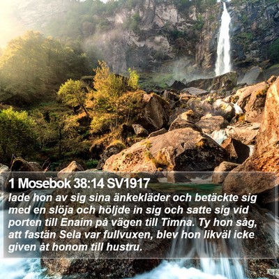 1 Mosebok 38:14 SV1917 Bible Verse Image