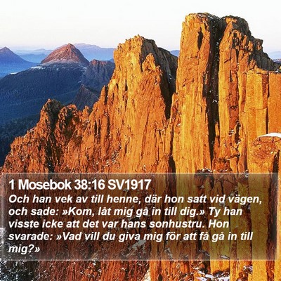 1 Mosebok 38:16 SV1917 Bible Verse Image