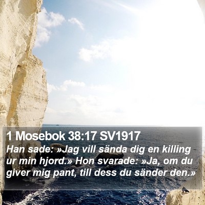 1 Mosebok 38:17 SV1917 Bible Verse Image