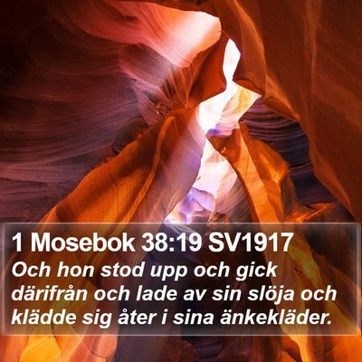 1 Mosebok 38:19 SV1917 Bible Verse Image