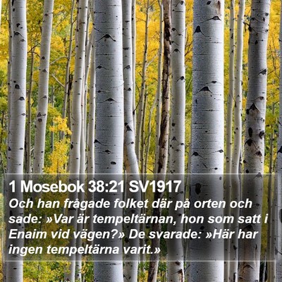 1 Mosebok 38:21 SV1917 Bible Verse Image
