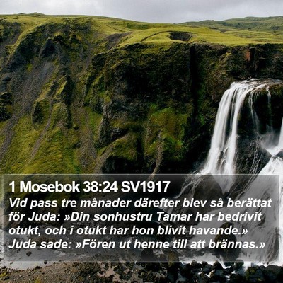 1 Mosebok 38:24 SV1917 Bible Verse Image
