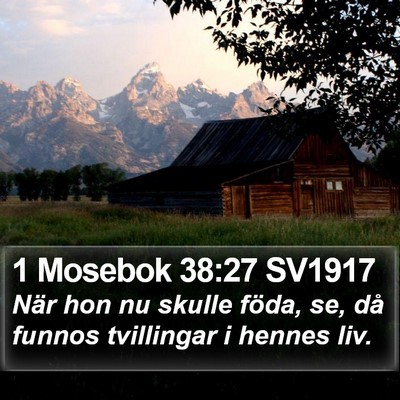 1 Mosebok 38:27 SV1917 Bible Verse Image