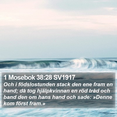 1 Mosebok 38:28 SV1917 Bible Verse Image