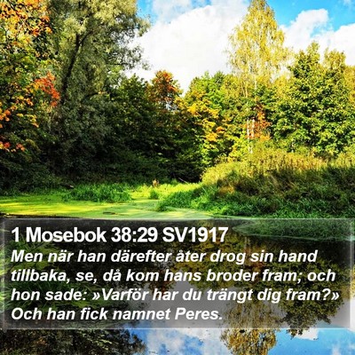 1 Mosebok 38:29 SV1917 Bible Verse Image