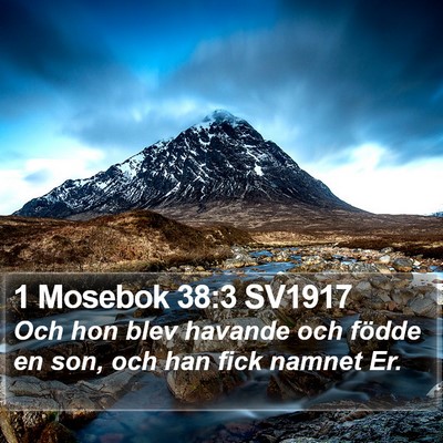 1 Mosebok 38:3 SV1917 Bible Verse Image