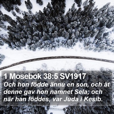 1 Mosebok 38:5 SV1917 Bible Verse Image