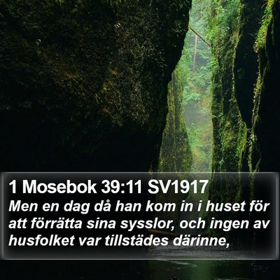 1 Mosebok 39:11 SV1917 Bible Verse Image