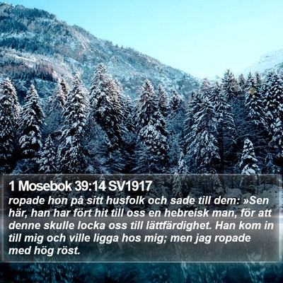 1 Mosebok 39:14 SV1917 Bible Verse Image