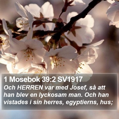 1 Mosebok 39:2 SV1917 Bible Verse Image