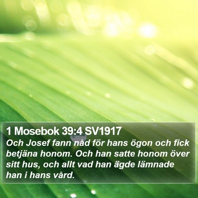 1 Mosebok 39:4 SV1917 Bible Verse Image