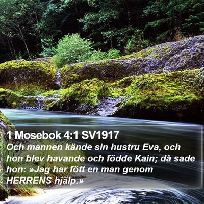 1 Mosebok 4:1 SV1917 Bible Verse Image