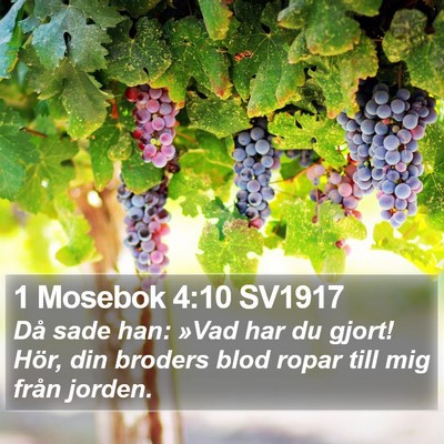 1 Mosebok 4:10 SV1917 Bible Verse Image