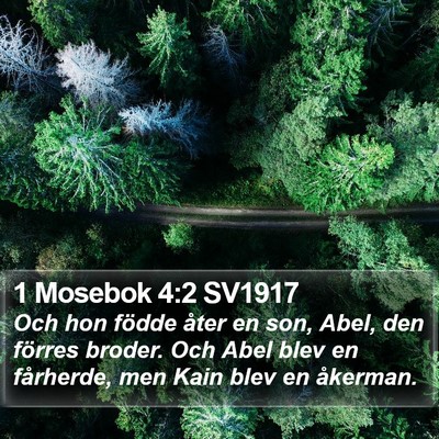 1 Mosebok 4:2 SV1917 Bible Verse Image