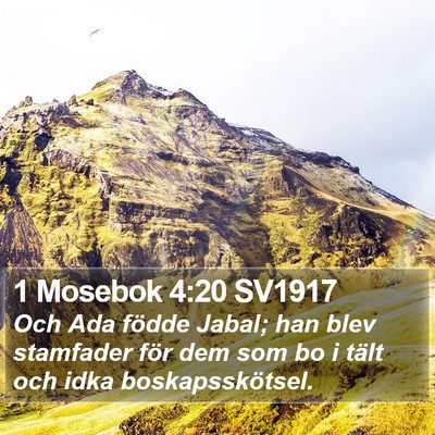 1 Mosebok 4:20 SV1917 Bible Verse Image