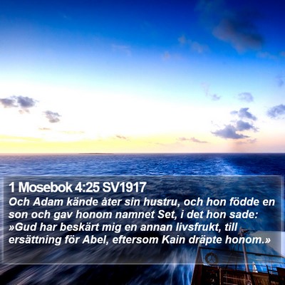 1 Mosebok 4:25 SV1917 Bible Verse Image