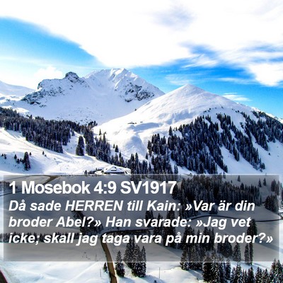 1 Mosebok 4:9 SV1917 Bible Verse Image