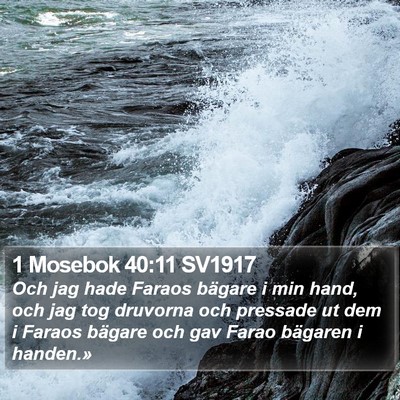1 Mosebok 40:11 SV1917 Bible Verse Image