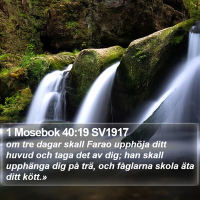 1 Mosebok 40:19 SV1917 Bible Verse Image
