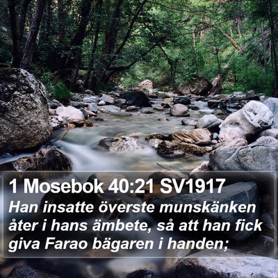 1 Mosebok 40:21 SV1917 Bible Verse Image