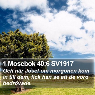1 Mosebok 40:6 SV1917 Bible Verse Image