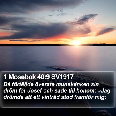 1 Mosebok 40:9 SV1917 Bible Verse Image