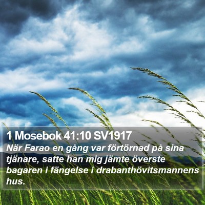 1 Mosebok 41:10 SV1917 Bible Verse Image