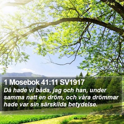 1 Mosebok 41:11 SV1917 Bible Verse Image