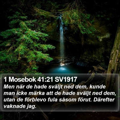 1 Mosebok 41:21 SV1917 Bible Verse Image