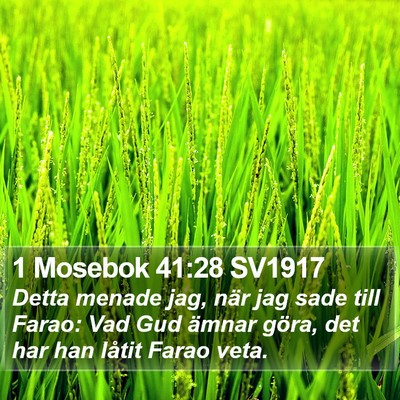1 Mosebok 41:28 SV1917 Bible Verse Image