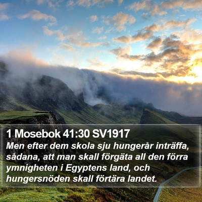 1 Mosebok 41:30 SV1917 Bible Verse Image