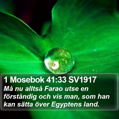 1 Mosebok 41:33 SV1917 Bible Verse Image