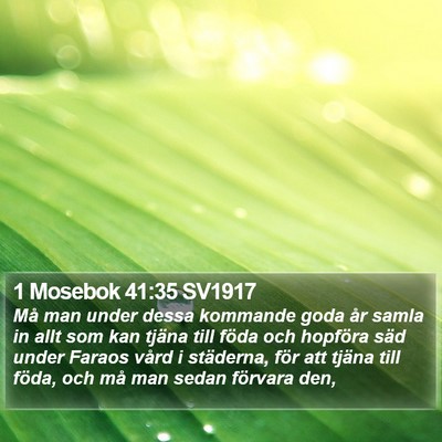 1 Mosebok 41:35 SV1917 Bible Verse Image