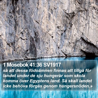 1 Mosebok 41:36 SV1917 Bible Verse Image