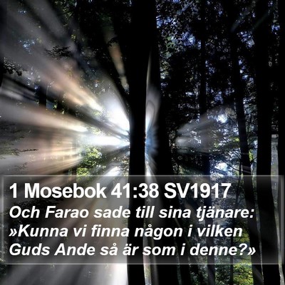 1 Mosebok 41:38 SV1917 Bible Verse Image