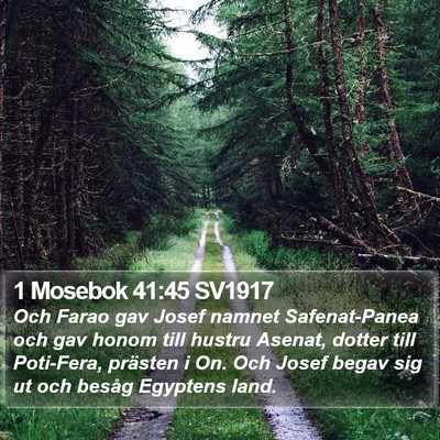 1 Mosebok 41:45 SV1917 Bible Verse Image