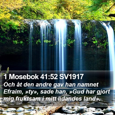 1 Mosebok 41:52 SV1917 Bible Verse Image