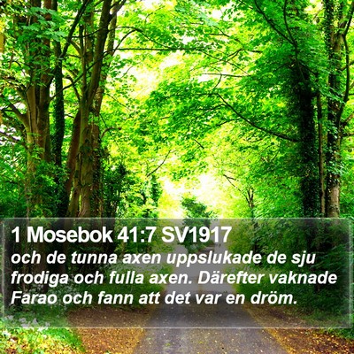 1 Mosebok 41:7 SV1917 Bible Verse Image