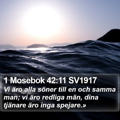 1 Mosebok 42:11 SV1917 Bible Verse Image