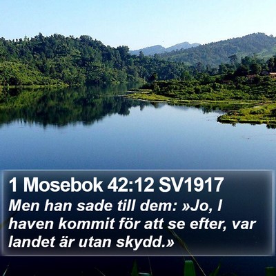 1 Mosebok 42:12 SV1917 Bible Verse Image