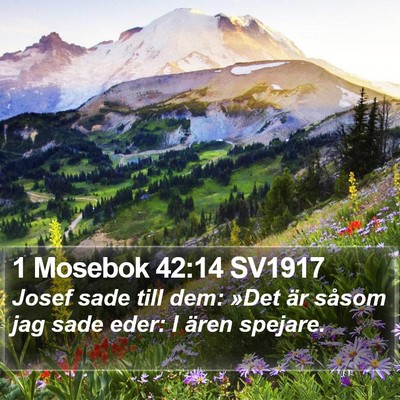 1 Mosebok 42:14 SV1917 Bible Verse Image