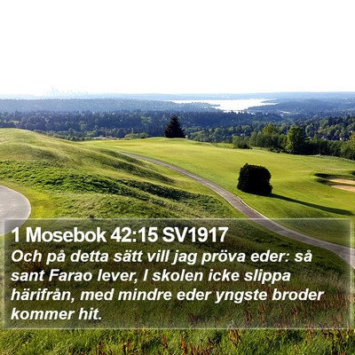 1 Mosebok 42:15 SV1917 Bible Verse Image