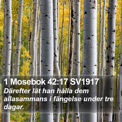 1 Mosebok 42:17 SV1917 Bible Verse Image