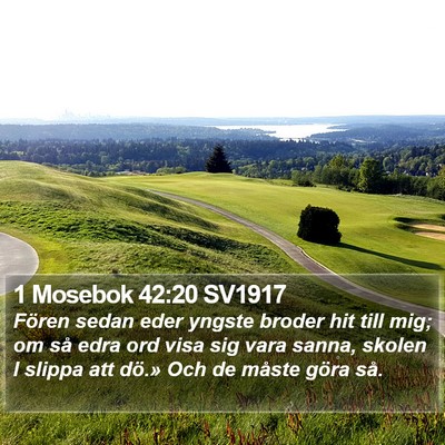 1 Mosebok 42:20 SV1917 Bible Verse Image