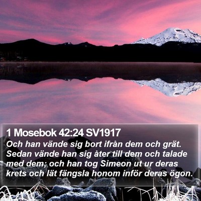 1 Mosebok 42:24 SV1917 Bible Verse Image