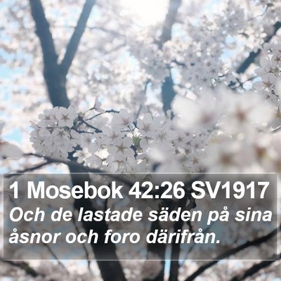 1 Mosebok 42:26 SV1917 Bible Verse Image