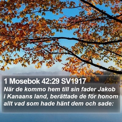 1 Mosebok 42:29 SV1917 Bible Verse Image